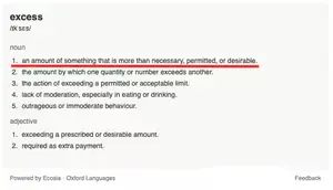 Definition of "excess"