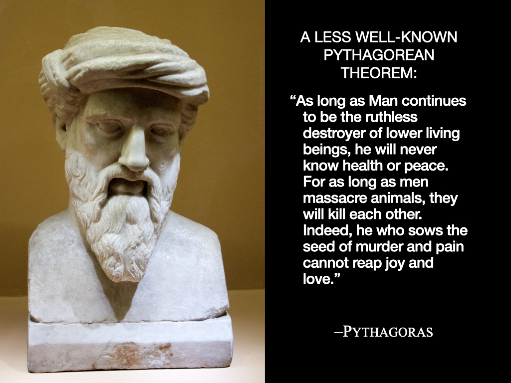 Pythagorean theorem on veganism Pythagorean theorem on veganism